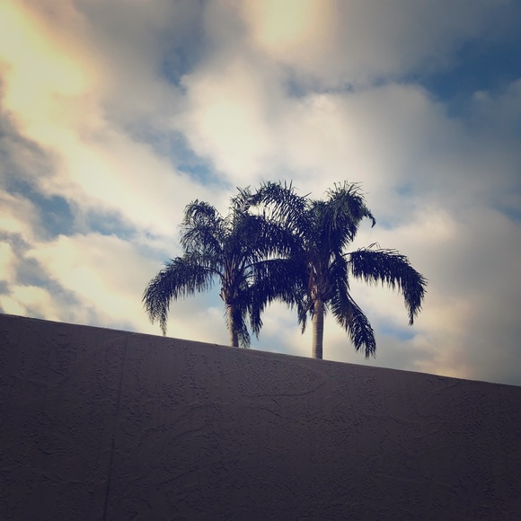 Meet your Posher, Mr. Ethan Berg - Picture 1 of 1